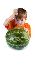 Fototapeta premium Serious boy cut watermelon