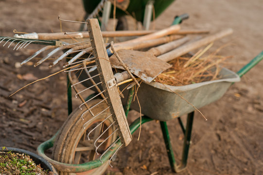 Brouette remplie d'ustensile de jardinage