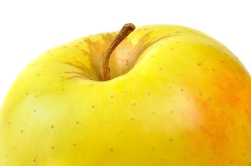 Golden delicious, apple typical of Trentino Alto Adige, Italy