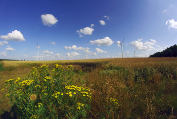 Turbina elektrowni wiatrowej na łące 2 © GKor