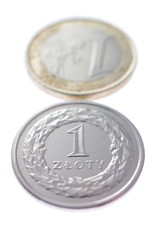 Euro złotówka macro © nestonik