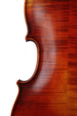 violin details