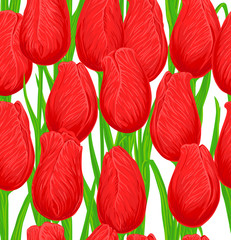 Tulips