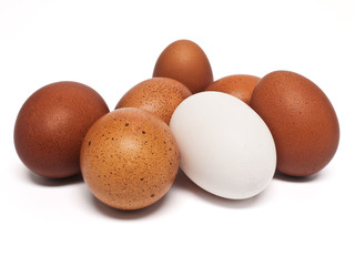 Eier