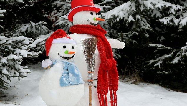 Herr und Frau Schneemann