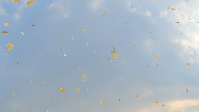 Food falling from the sky