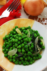 Pisum sativum
