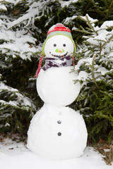 Schneemann - Witziges Wintermotiv