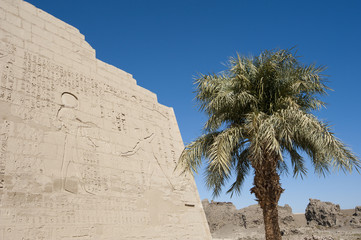 Egyptian hieroglyphic carvings on a temple wall