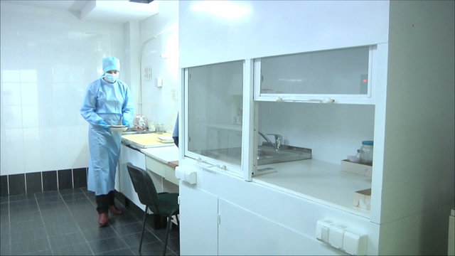 nurse working in the laboratory