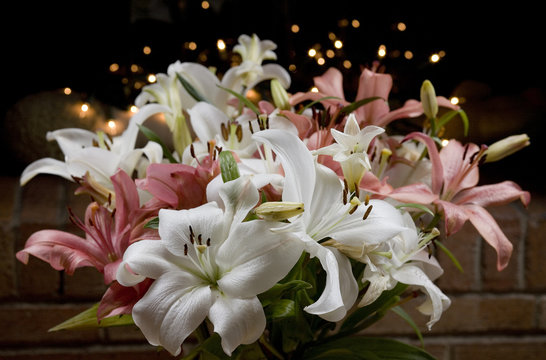 Fototapeta Holiday flowers in pink and white with festive lights glowing in the background