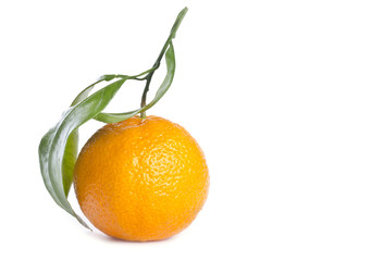 Satsuma Mandarin Orange Isolated on White