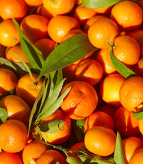 tangerines with leafs in market stand