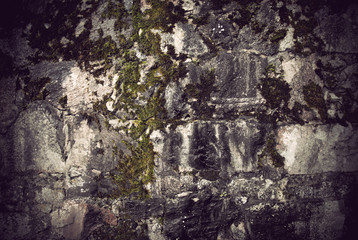 Stone wall with fungus