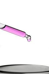 Pipette mit rosa Flüssigkeit