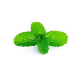 Mint leaf close up on a white background