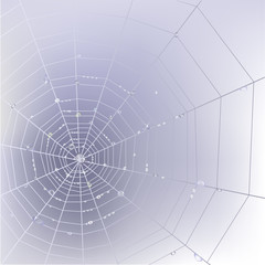 Stylish background with spider web