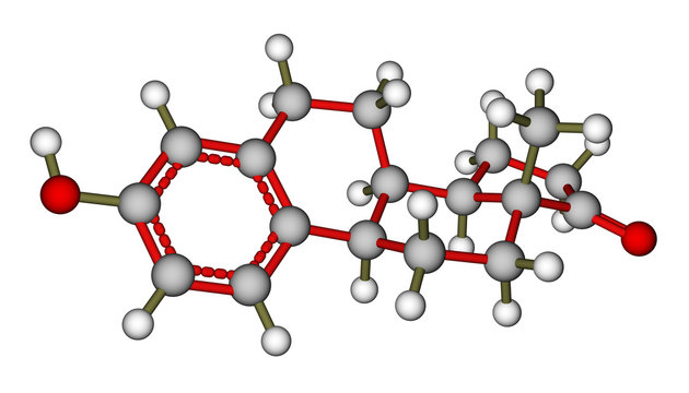 Sex Hormone Estrone Molecule