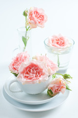 pink roses in a white cup