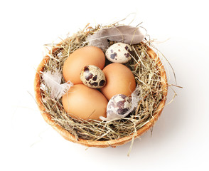 Naklejka na ściany i meble chicken and quail eggs in a nest isolated on white