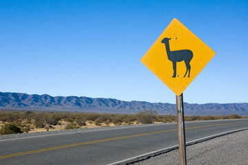 Lama Sign in the andes © elxeneize