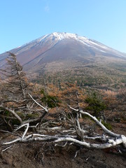 富士山五合目奥庭自然公園
