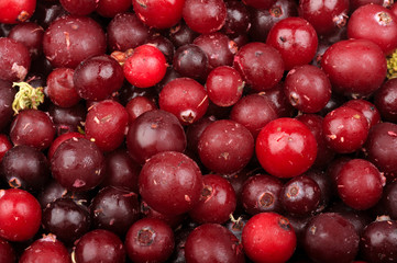 background of frozen cranberries