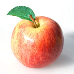 Gala; Apfel