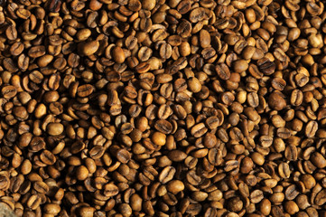 Raw Coffee Beans