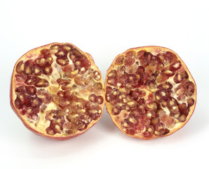 Granatapfel; Punica granatum