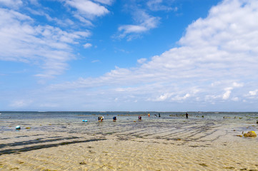 Coast of Bali