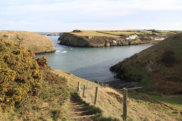 Coast Path at Abercastle, Pembrokeshire