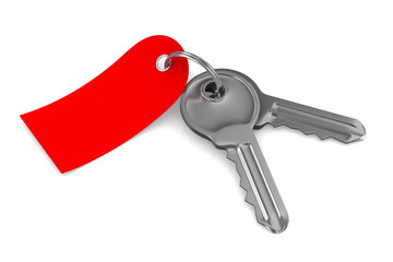 Isolated two keys on white background. 3D image