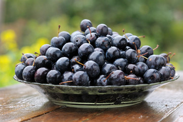 Prunes