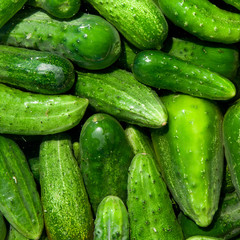 cucumbers