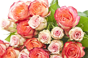 Obraz na płótnie Canvas red and pink roses close up