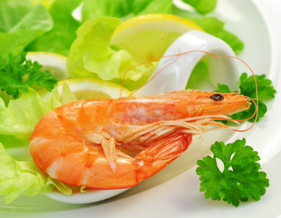 Garnele auf grünem Salat mit Zitrone