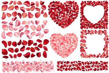 Big collection of detailed realistic rose petals isolated