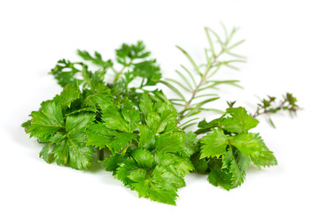 Sellerie,Thymian und Rosmarin,freigestellt