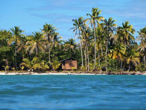 Tropical coast with coconut trees and a hut, Central America, Panama