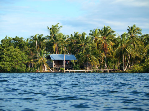 Rustic Amerindian hut with dock on tropical shore with coconut trees, Bocas del Toro, Panama, Central America