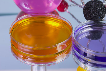 orange petri dish closeup