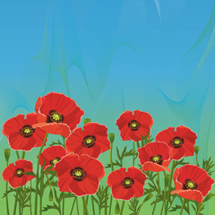 Floral blue-green background with red poppies