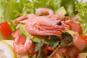 salad with shrimps and avocado