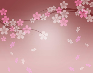 Fototapeta na wymiar 夜桜