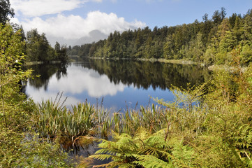 Fototapeta na wymiar Matheson lake, New Zealand