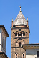 Fototapeta na wymiar St. Pietro Belltower Cathedral. Bologna. Emilia-Romagna. Italy.