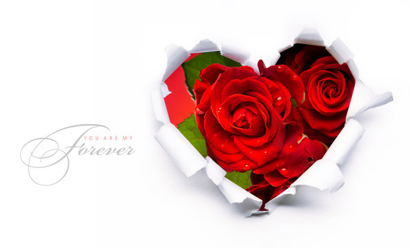Art banner design of red roses and the paper heart on Valentine