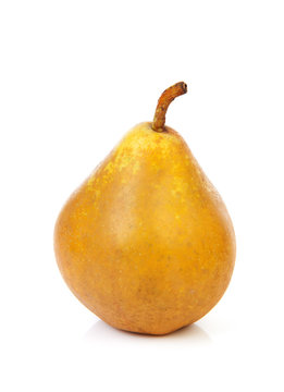One bulbous yellow pear