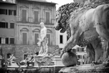 Statue piazza della signoria Firenze
